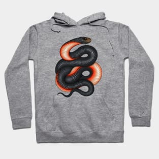 Red-bellied Black Snake Hoodie